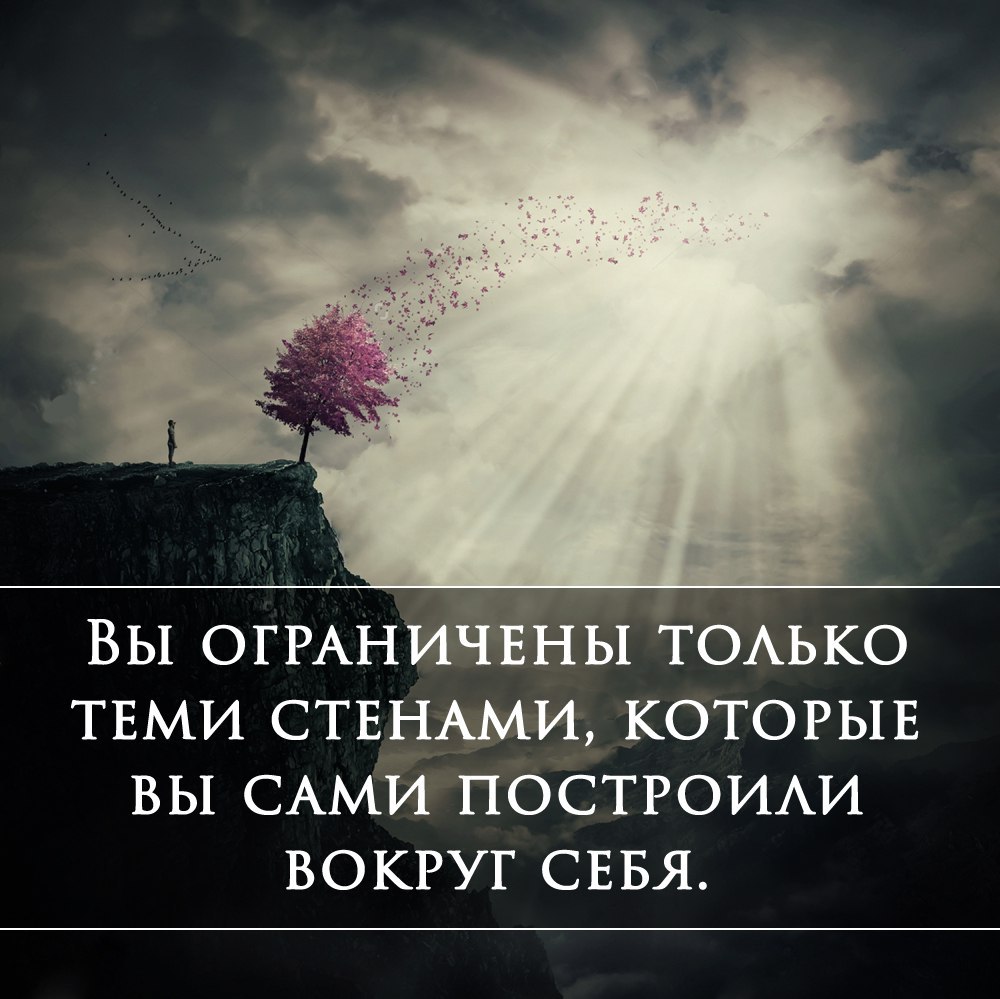      - 14  2017  07:31