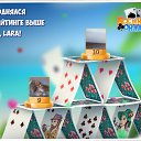 ���� ����, ����� - ��������� 26 ������� 2017 � ������ �������� �������-�������