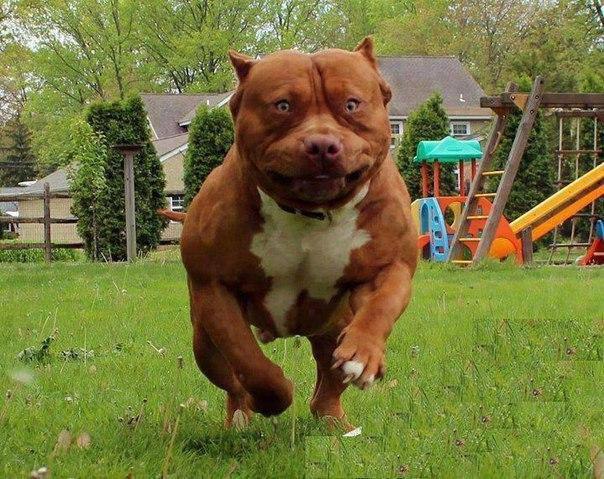 ���� � �������
