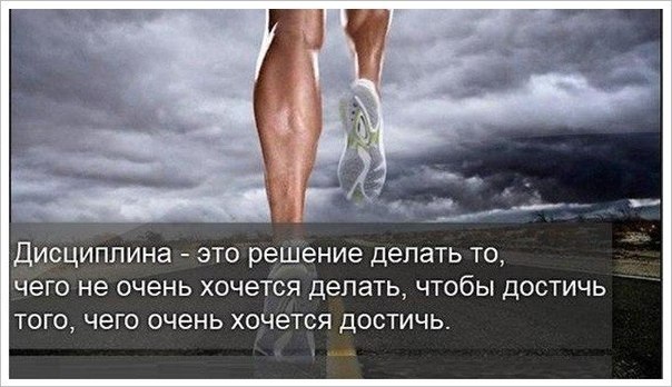 -   : 12  .         ...