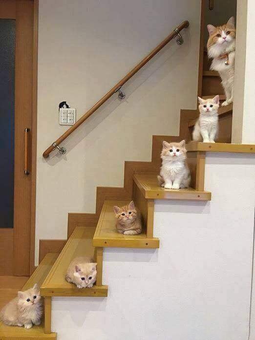   :3 - 6