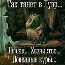 ���� ������� ���, ������ - ��������� 1 ���� 2017 � ������ ���� ����������