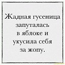  , , 31  -  8  2017