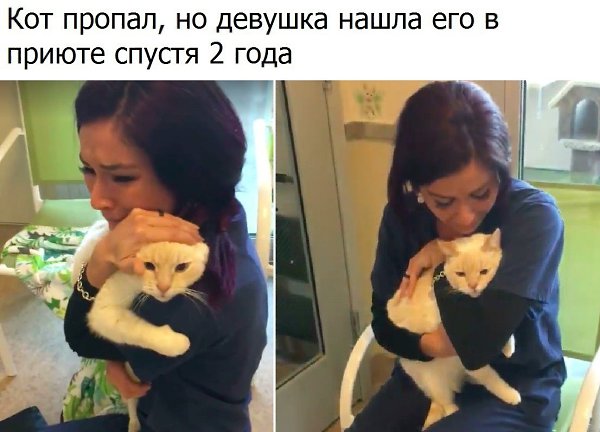  - 17  2017  12:08