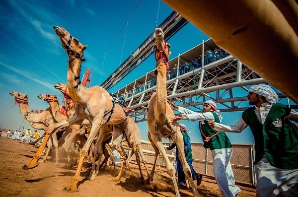 Подборка лучших фотографий, опубликованных журналом National Geographic в апреле 2017 года - 2