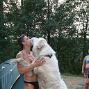 ���� ������, �����-���������, 60 ��� - ��������� 3 ������� 2017 � ������ ���� ����������