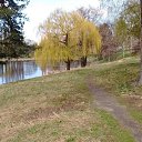 ���� Olezhka***, ����, 65 ��� - ��������� 7 ��� 2017 � ������ ���������� ������