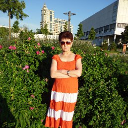 ������, �������, 65 ���