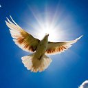 ���� ������, ������������, 74 ���� - ��������� 7 ������ 2017 � ������ ������ ��������