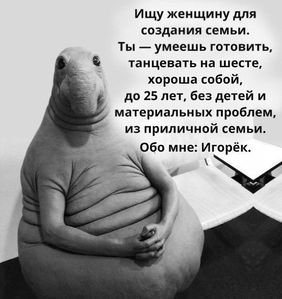    - 12  2017  03:36