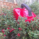 ���� Maikl, ����� - ��������� 24 �������� 2017 � ������ ���� ����������