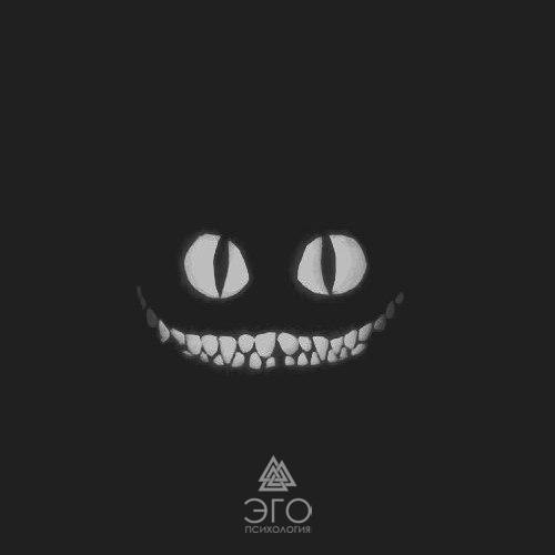  | ,  - 19  2017  13:31 - 3