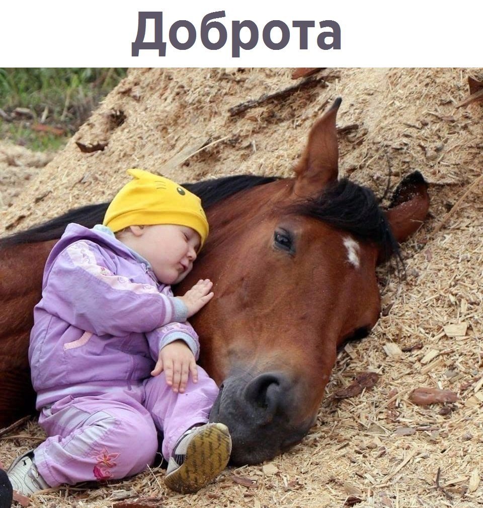  - 25  2017  23:01