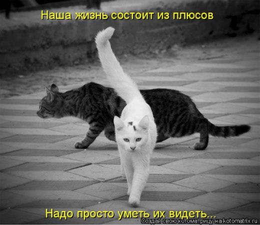  - 12  2017  23:05