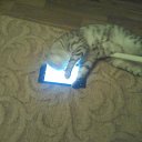 ���� ������, �����������, 61 ��� - ��������� 19 ������� 2017 � ������ ���� ������� �����