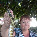  , , 64  -  14  2017       2017