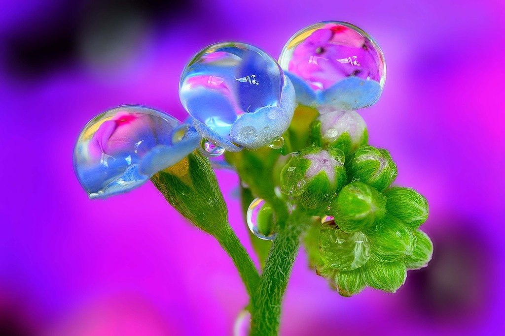  ! - 26  2017  10:34 - 3