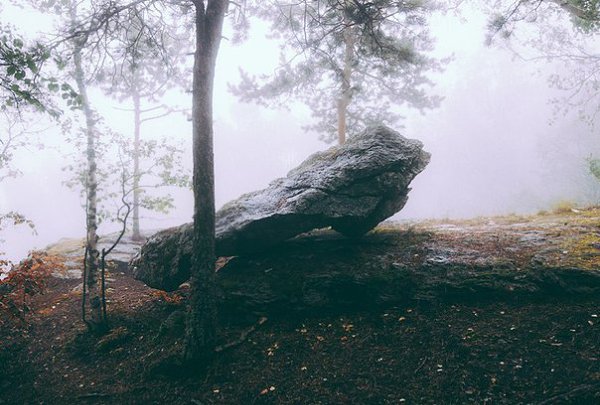 ������ ������ � ������, ��� ������� ����� ������ ����� ����� �������� � ���, ���� ������� ���� ...