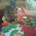 ���� �� ����� �� �������� ��... �� ������� ���� ������� �����