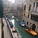 ���� �����, ������, 55 ��� - ��������� 18 ������ 2017 � ������ ���� ����������