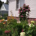 ���� �������, ��������, 67 ��� - ��������� 3 �������� 2017 � ������ ���� ����������