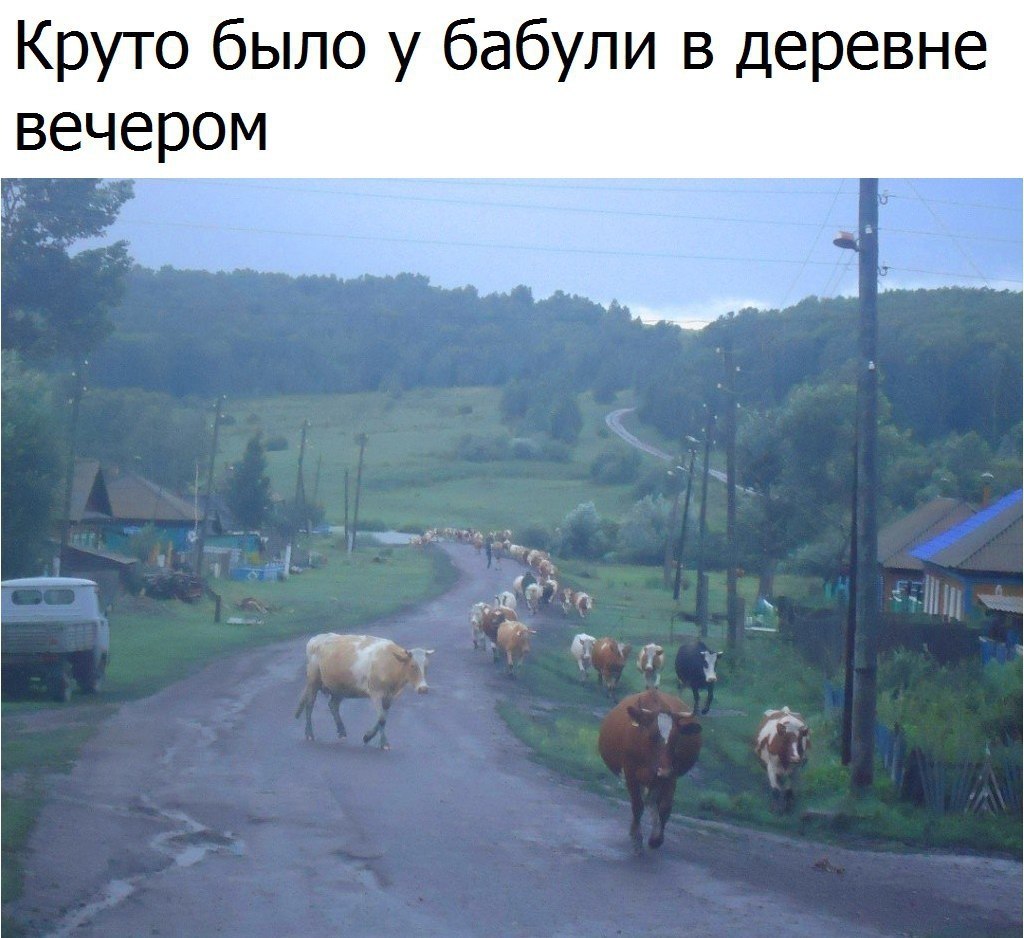   - 10  2017  14:02