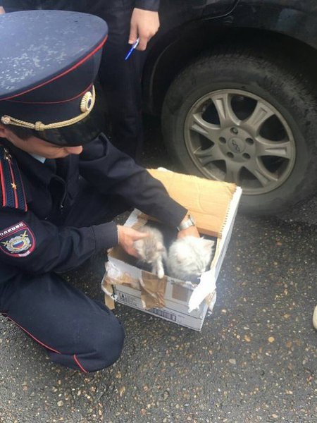 В Казани эвакуировали жителей нескольких домов из-за подозрительной коробки, в которой саперы нашли ...