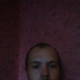 ���� �����, ���������, 38 ��� - ��������� 11 ������ 2017