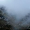  , , 51  -  5  2017    2017