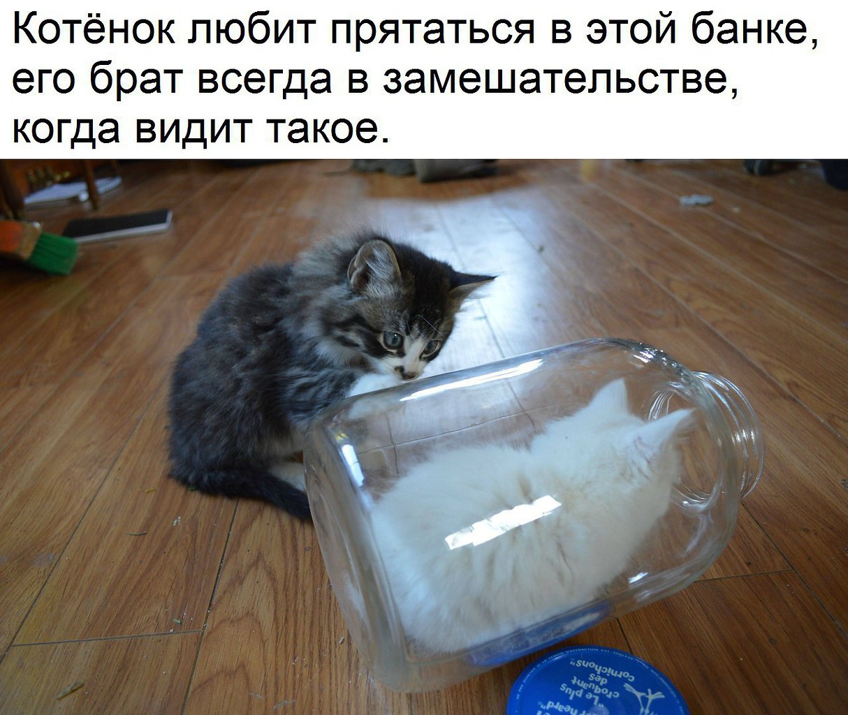       - 12  2017  16:05