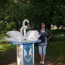 ���� �����, ��������, 52 ���� - ��������� 25 ��� 2017