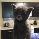 ���� ����, ���������, 42 ���� - ��������� 27 ������� 2017 � ������ ���� ����������