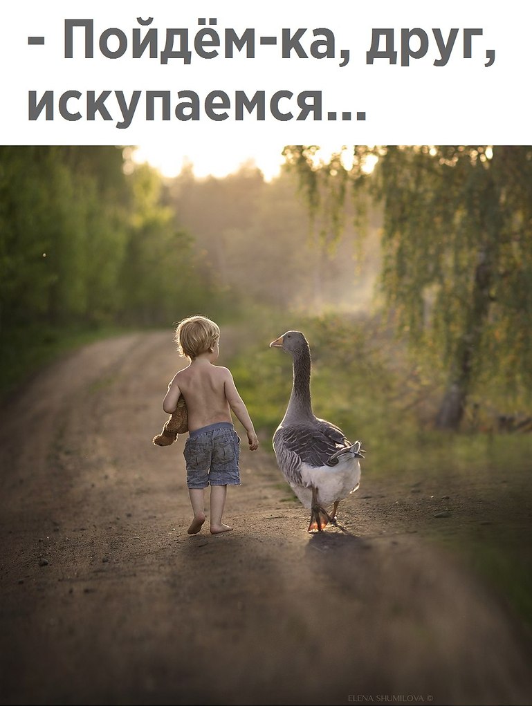   - 19  2017  15:34