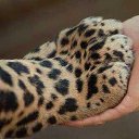  Vidmantas, , 52  -  29  2017    