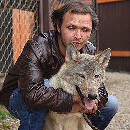 Dima., ���������, 36 ���