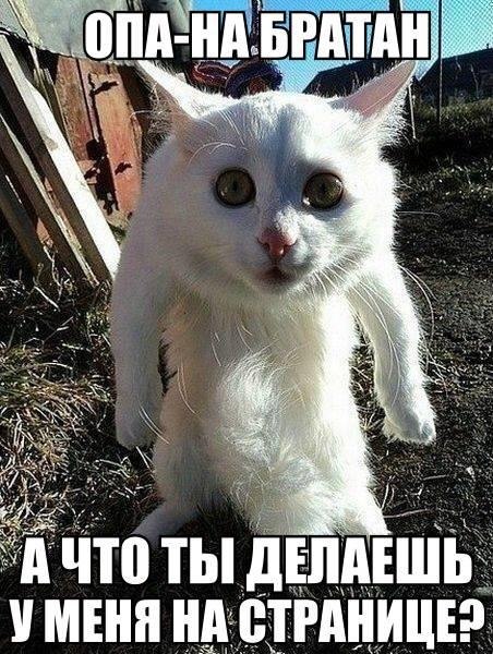 ��� �������� �������� - 12 ���� 2017 � 21:12