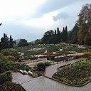  , , 60  -  24  2017   ,&quot;   ..&quot; ,22.10.17