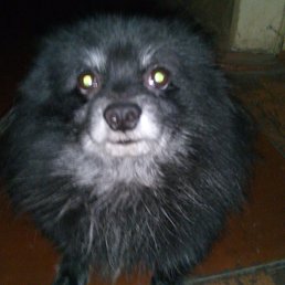 ���� Igor, ������ - ��������� 15 ���� 2017