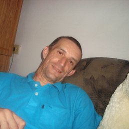 �������, ���������, 41 ���