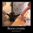 ���� ������, ������������, 45 ��� - ��������� 20 ������ 2017 � ������ ��������������