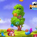 ���� ����, ����� - ��������� 2 ������ 2017 � ������ �������� �������-�������