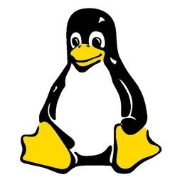 tayanov :  Linux      775,      ? ...