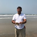  Roman, , 49  -  2  2017   