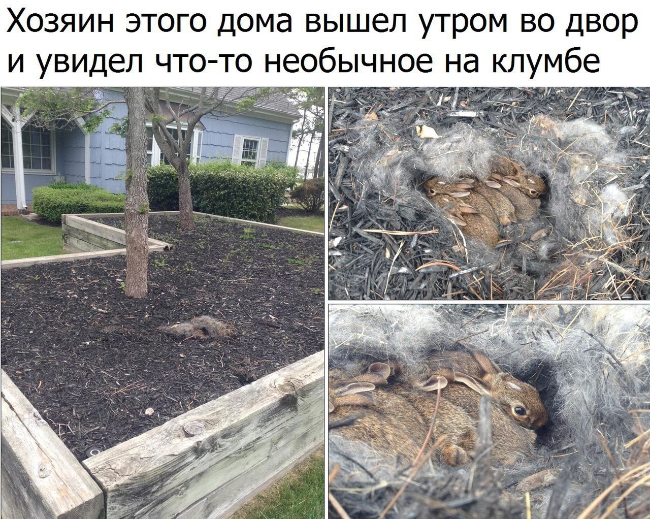   :    - 23  2017  22:51