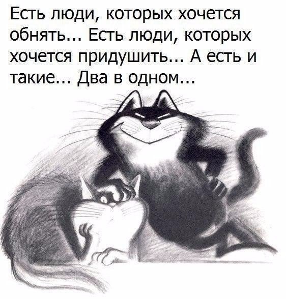  - 5  2017  23:56