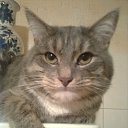 �������