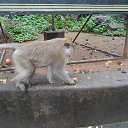 ���� �������, ���������, 46 ��� - ��������� 19 ������� 2017 � ������ ����������