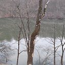 ���� ����, �����-��������� - ��������� 27 ������ 2017 � ������ ������