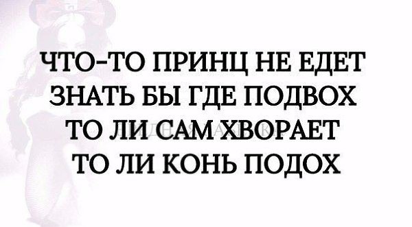 Ехали знаем. Что-то принц не едет знать. Что принц не едет. Где то подвох. Что-то принц не едет знать бы где подвох.