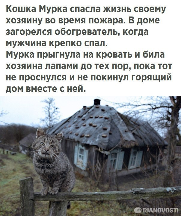  - 19  2017  09:34